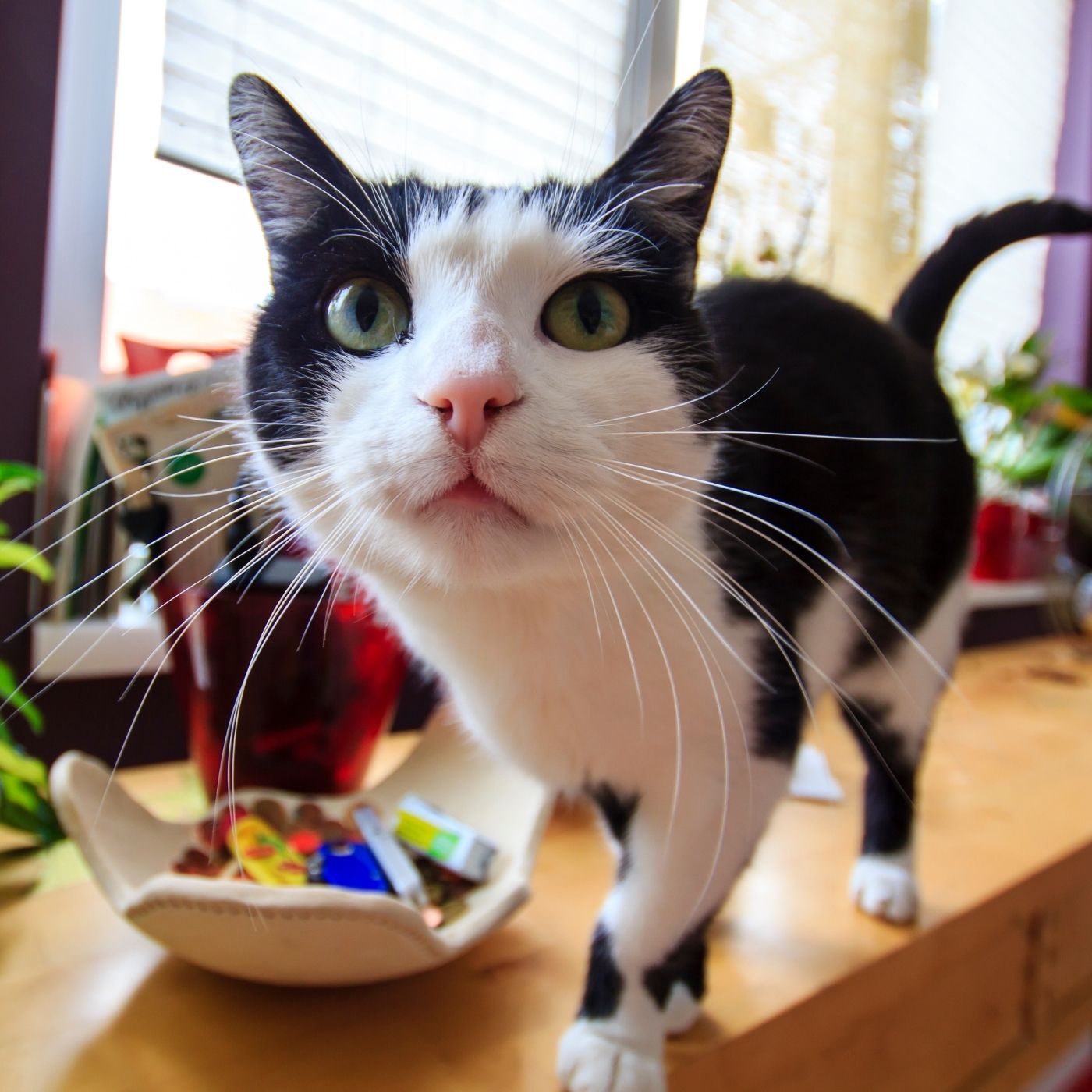 Inside NYC's $250 Million 'Billionaire's Row' Penthouse