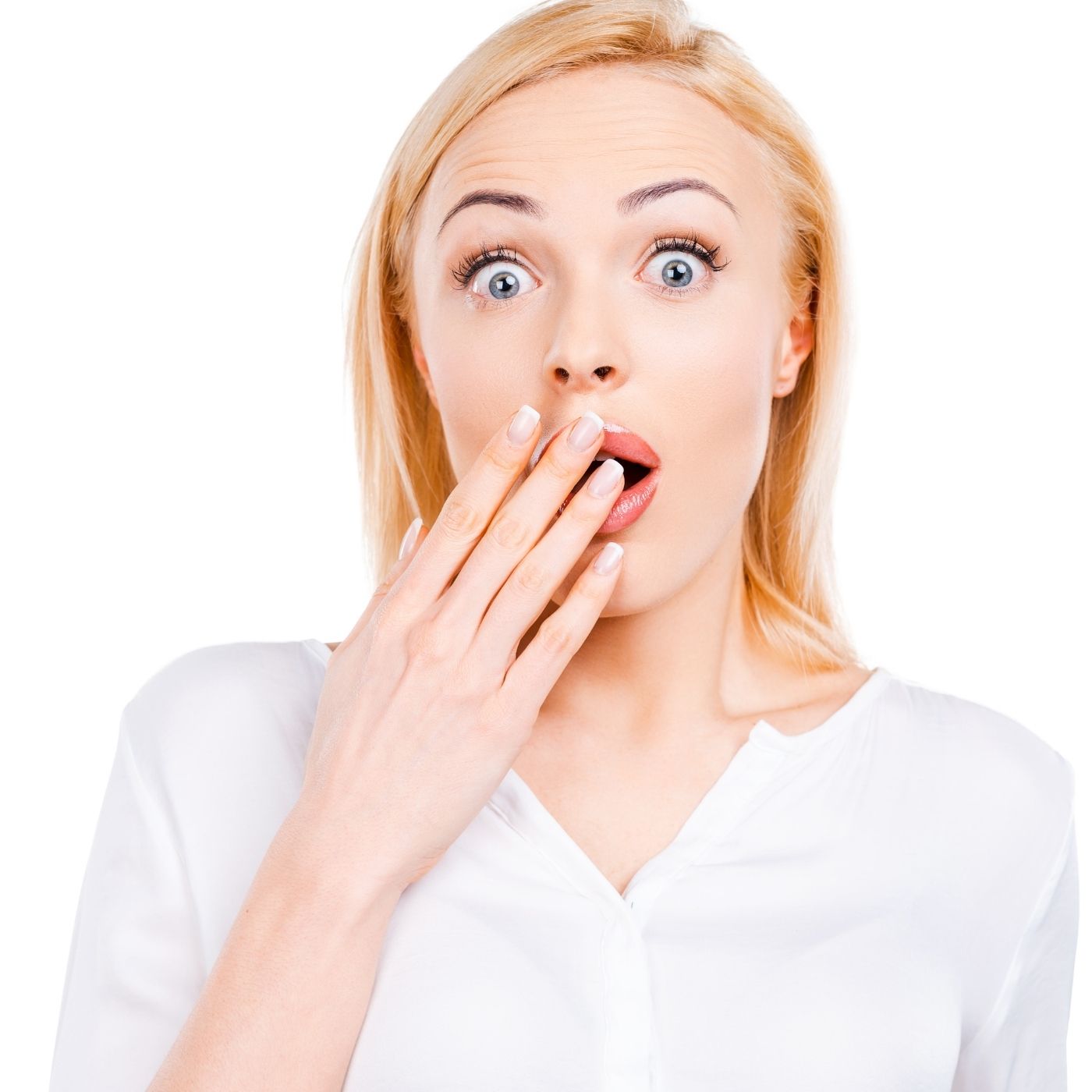 Guide to NYC's Holiday Window Displays